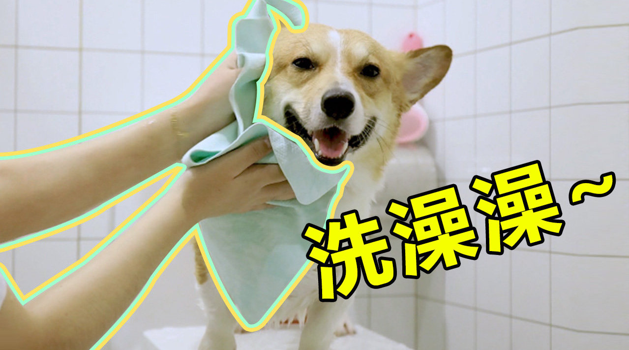 花样宅家挑战